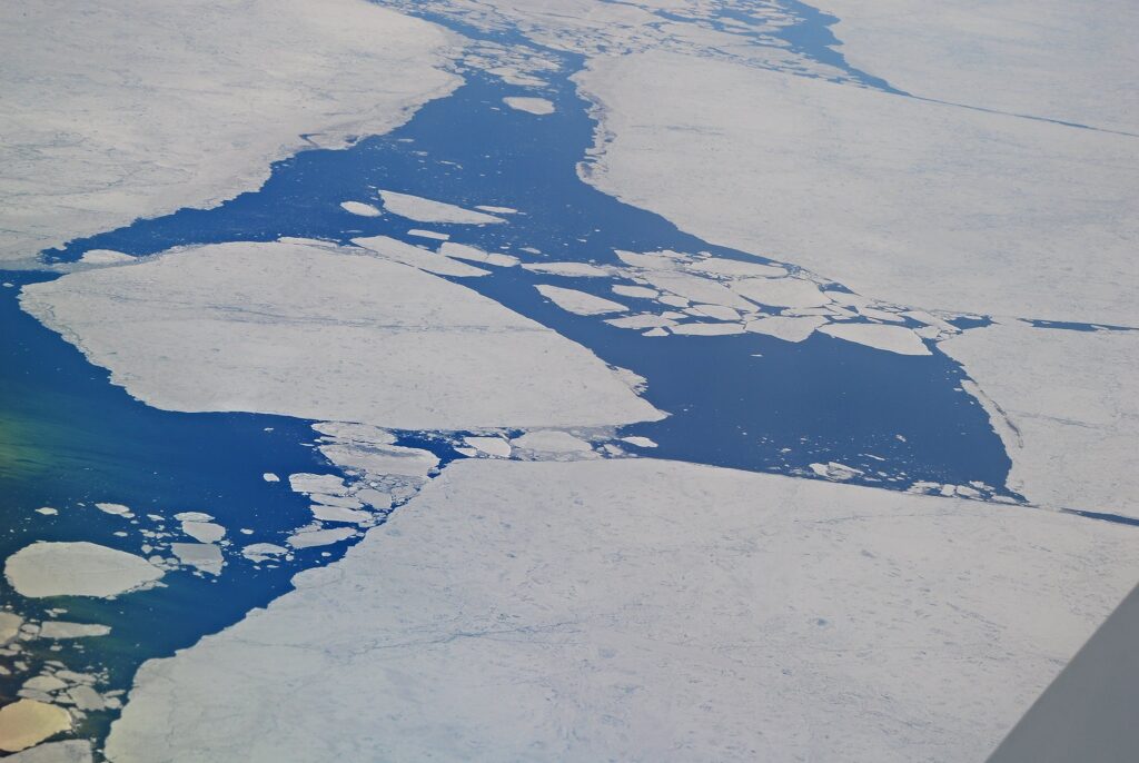 carbon in arctic coastal waters