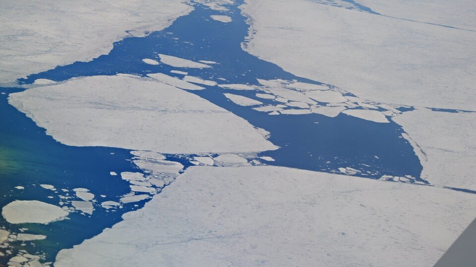 carbon in arctic coastal waters