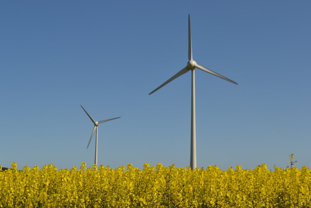 wind power is now top renewable