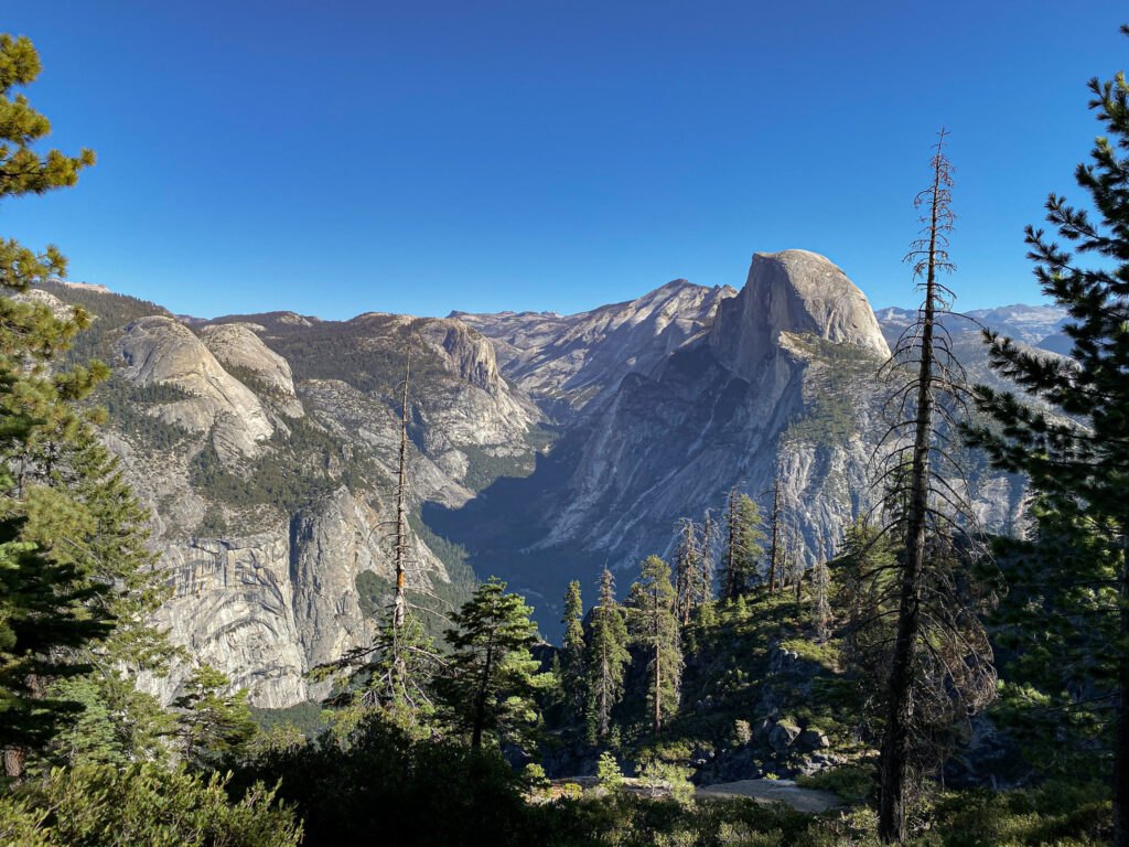 Wildlife reclaim Yosemite National Park
