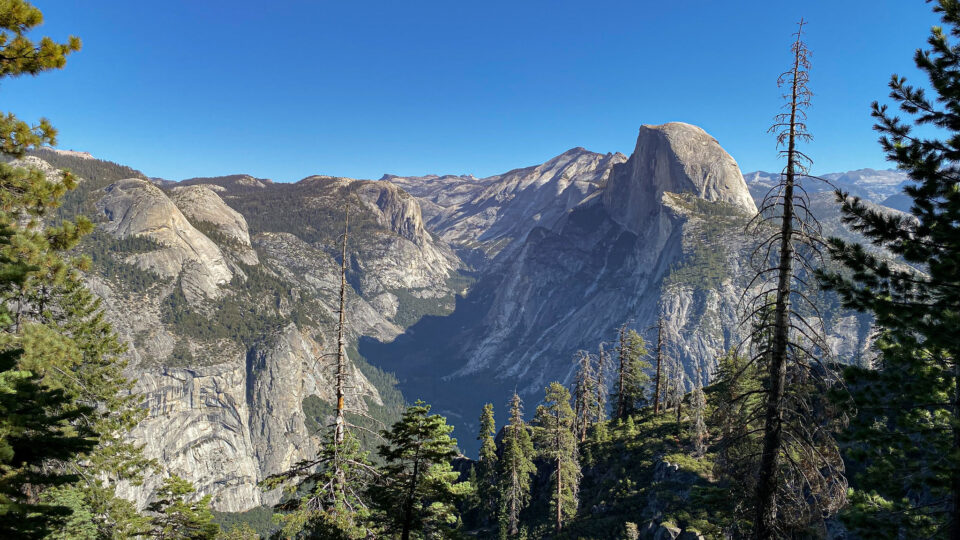 Wildlife reclaim Yosemite National Park