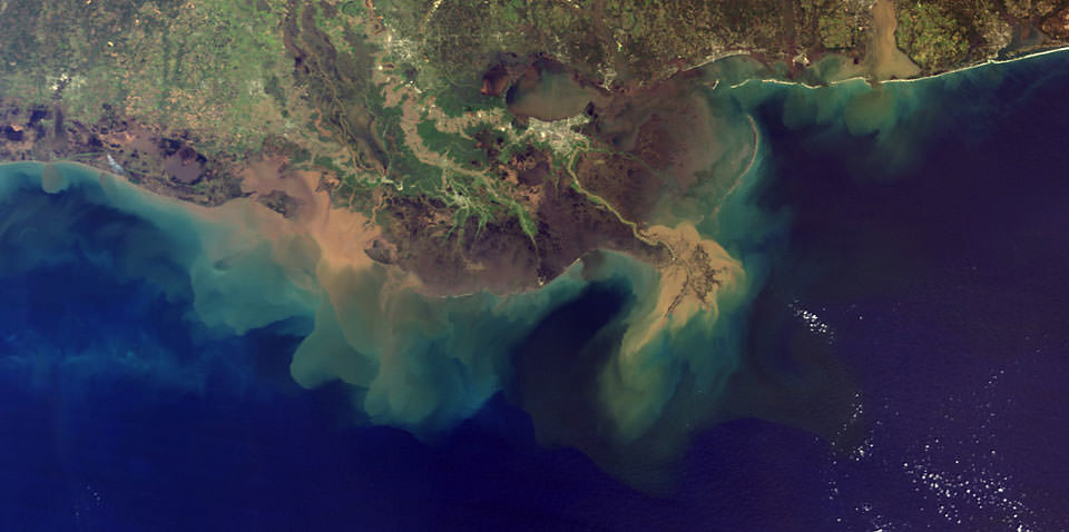 the gulf of mexico dead zone