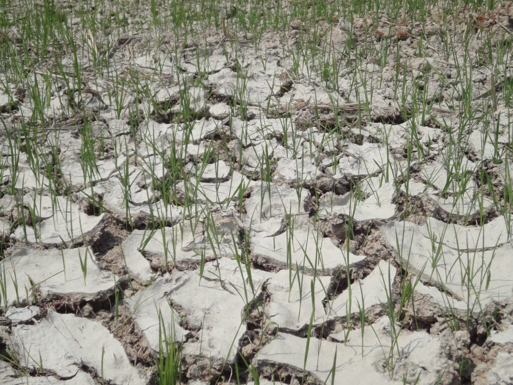 Climate change leading to more mega-droughts