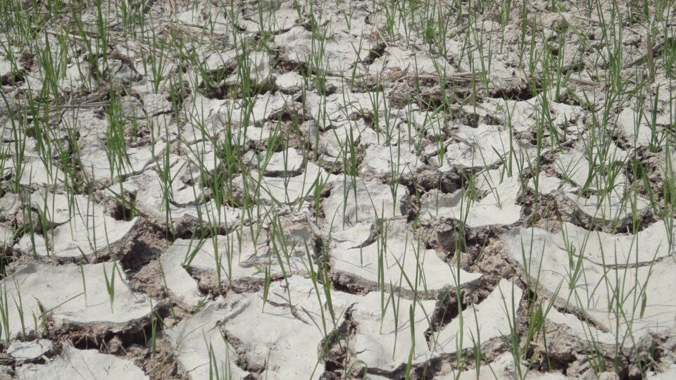 Climate change leading to more mega-droughts