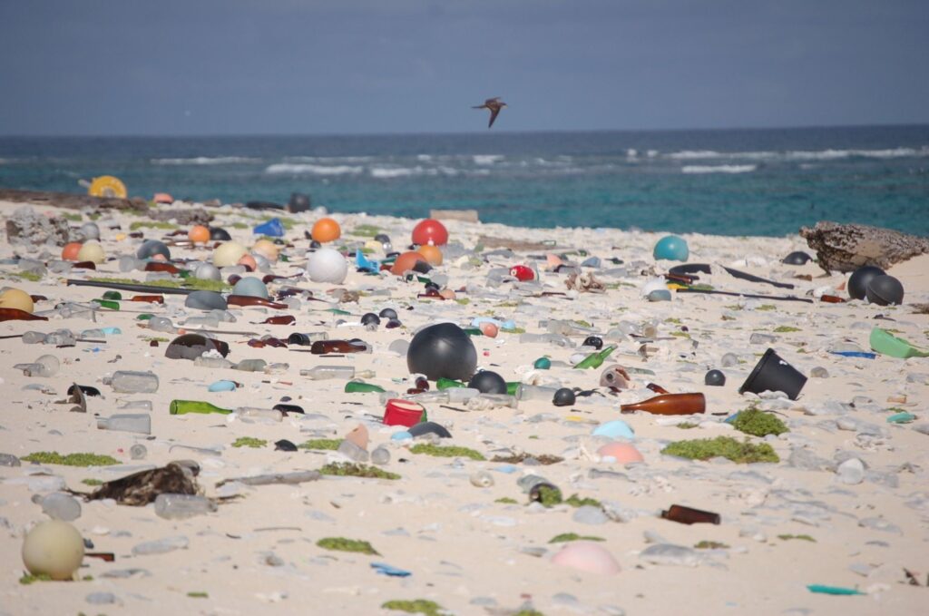 The majority of ocean litter collected around the world is from takeout food
