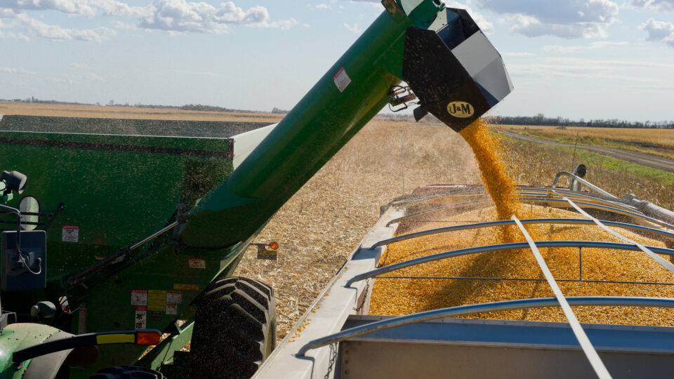 Corn ethanol hurts - not helps - the planet