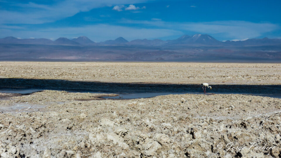 How mining lithium might impact the environment