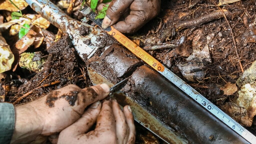 Studying the carbon in the Congo Peatlands