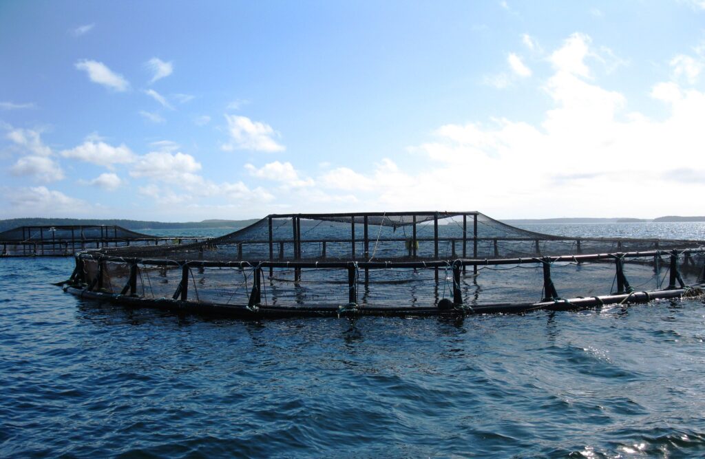 Climate change threatens viability of aquaculture