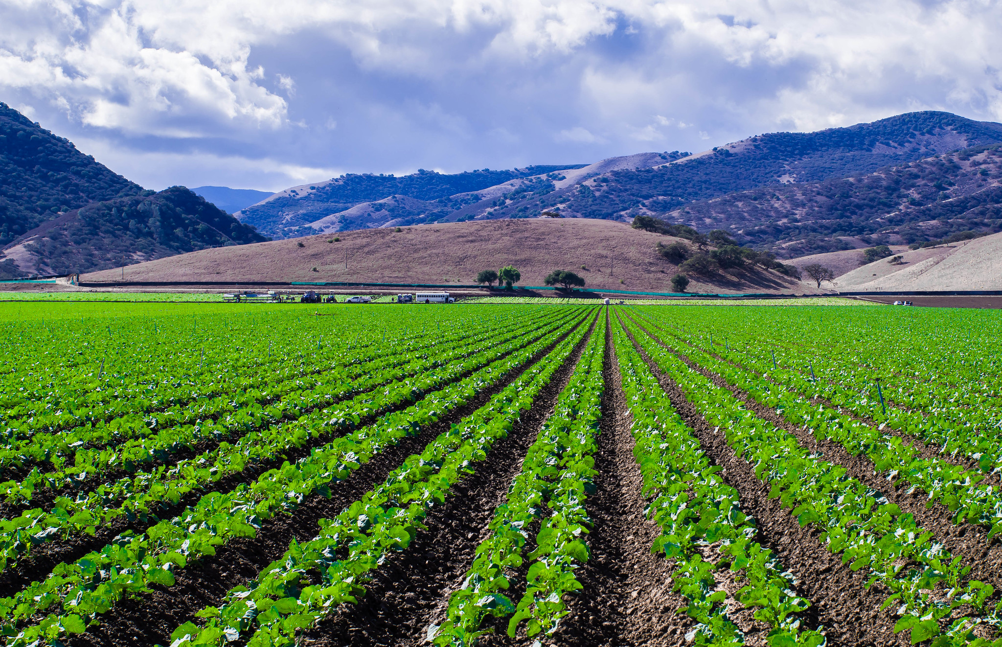 Planting Rocks To Capture Carbon | Earth Wise