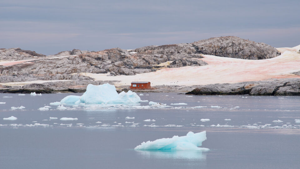 Record low sea ice levels in Antarctica