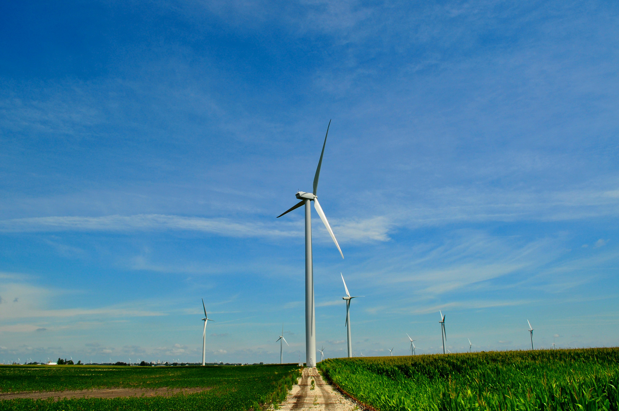 Wind turbines and bats