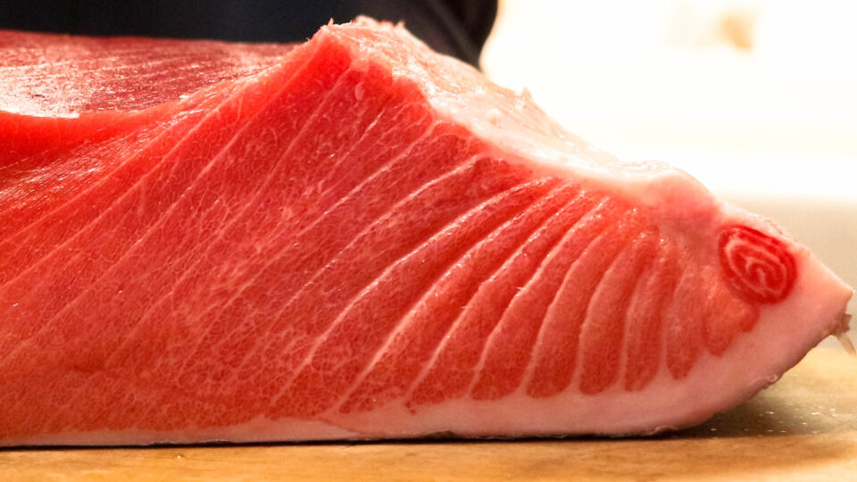 Mercury in tuna still a lingering issue