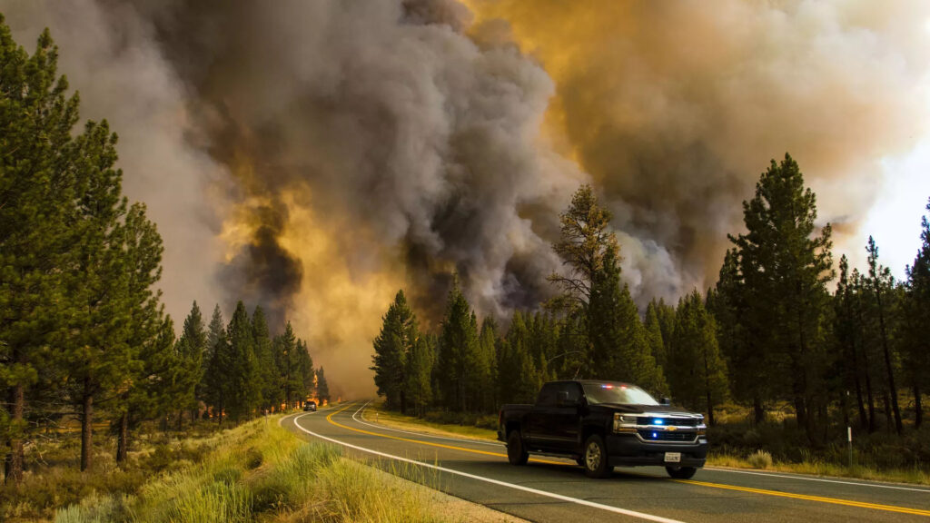 Wildfires impacting carbon storage potential