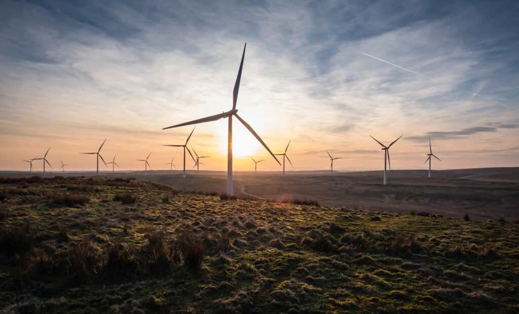 Reviewing the carbon cost of wind farms