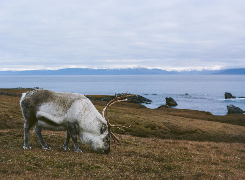 Svalbard is melting