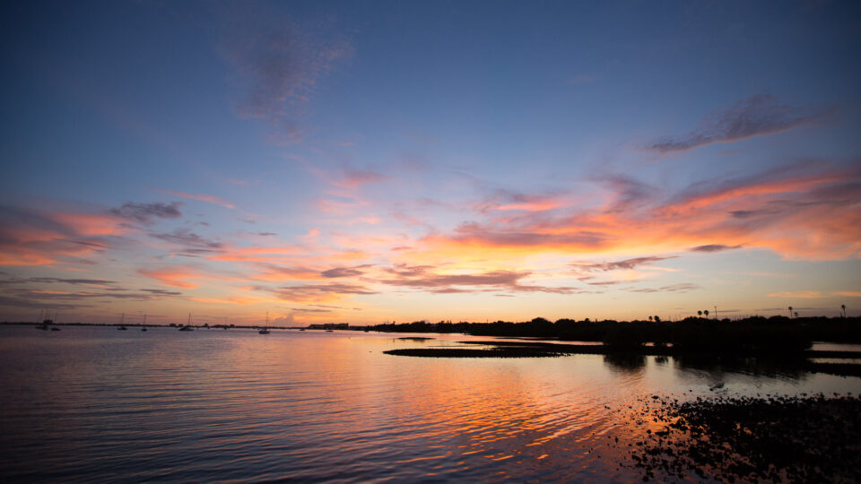 Estuaries in South Florida are rapidly warming