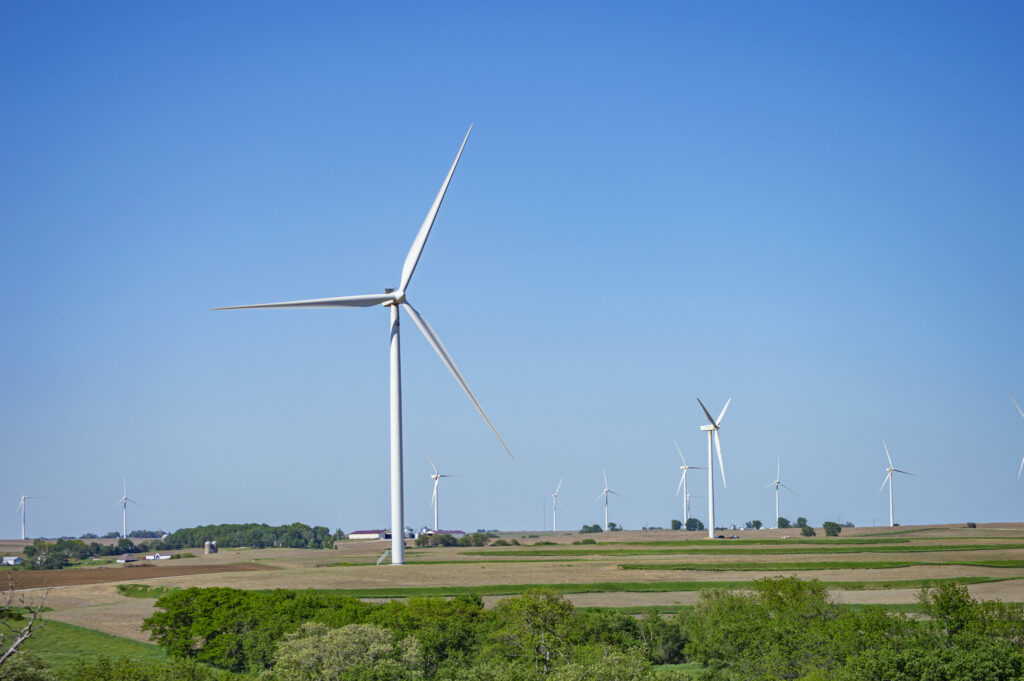 Making wind turbines safer for birds