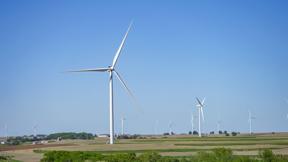 Making wind turbines safer for birds